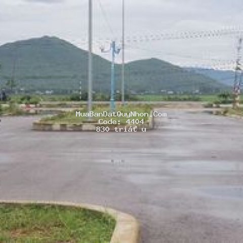 Cần bán gấp đất