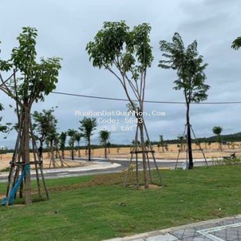 Cần bán gấp lô đất ven biển shophouse sổ đổ