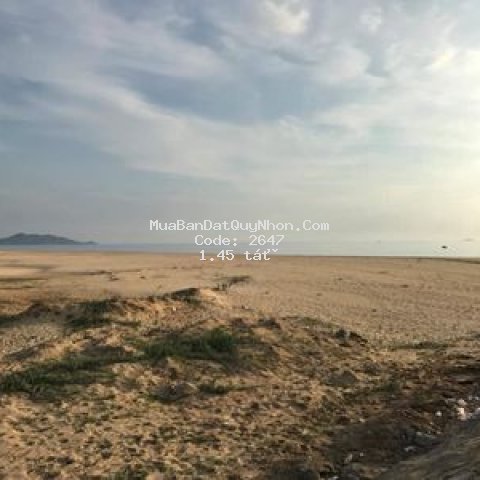 Cần bán lô đất cát hải, đường lớn ra biển 50m.