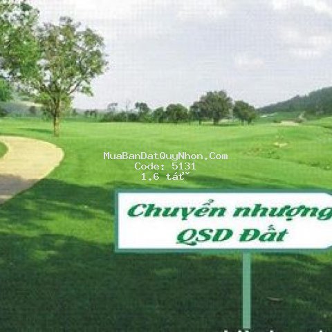 Cần bán lô đất hẻm nguyễn thái học, quy nhơn