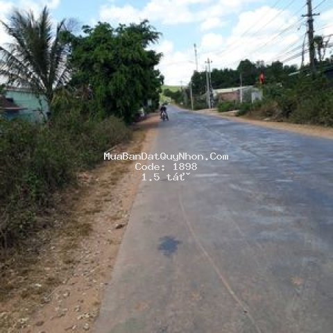Cần bán lô mt quốc lộ 19 240m2 giá: 1,5 tỷ shr