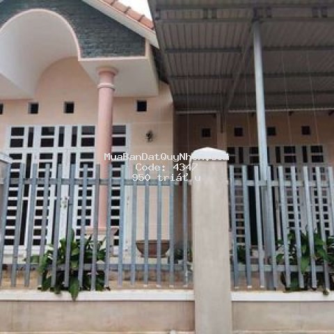 Cần bán nhà cấp 4.  439m² nhơn mỹ thị xã an nhơn
