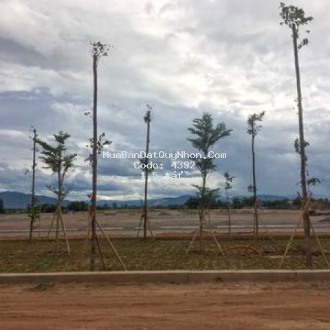 Cần bán nhanh 2 lô góc và kề góc - giá yêu thương