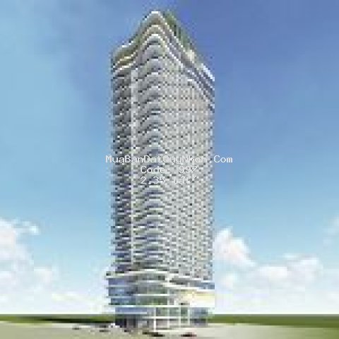 Căn hộ cao cấp tms d1202 1 pn view trực diện biển
