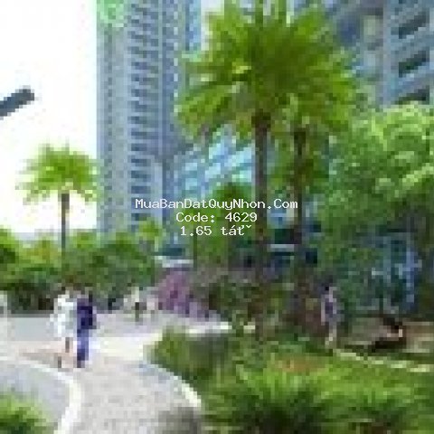 Căn hộ dịch vụ, mini thành phố qui nhơn 45m² 1pn