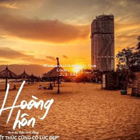 Căn hộ dịch vụ, mini tms luxury quy nhơn 47m² 1pn Căn hộ dịch vụ, mini tms luxury quy nhơn 47m² 1pn