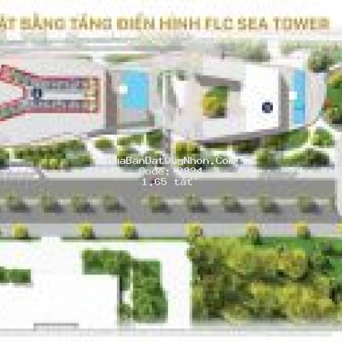 Căn hộ flc sea tower ( t11 bàn giao nhà)