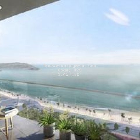 Căn hộ mặt biển quy nhơn thích hợp cho thuê Căn hộ mặt biển quy nhơn thích hợp cho thuê