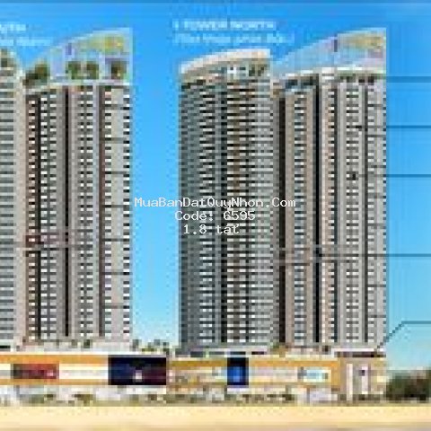 Căn hộ mặt biển quy nhơn từ 1 tỷ6