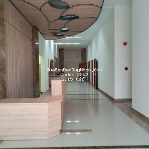 Căn hộ tms, tầng 22, 57m2, view biển đẹp lung linh Căn hộ tms, tầng 22, 57m2, view biển đẹp lung linh