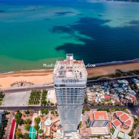 Căn hộ tms trực diện giá rẻ
