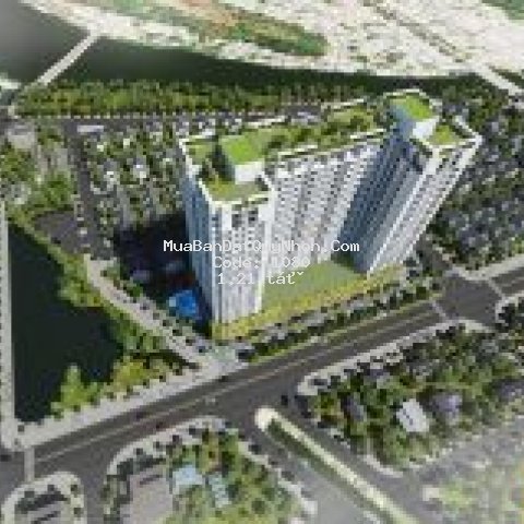 Căn hộ xanh -cuộc sống xanh tại thành phố quy nhơn Căn hộ xanh -cuộc sống xanh tại thành phố quy nhơn