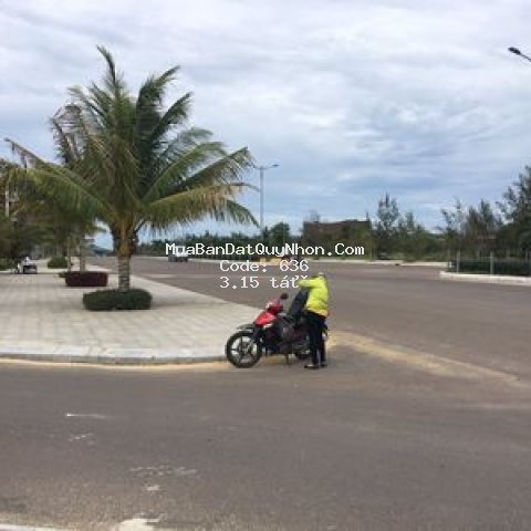 Cần nhượng lại shophous flc luxcity đường 60m
