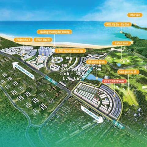 Cần tìm chủ nhân hai lô hoa hậu của kỳ co