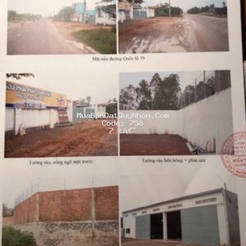 Cần trả nợ, bán kho mặt tiền ql19 2000m2 bình định