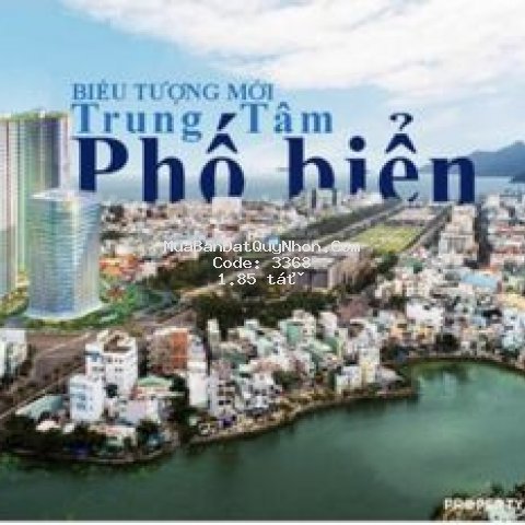 Chỉ 500 triệu sở hữu căn hộ 5* thành phố quy nhơn