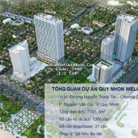 Chiết khấu khủng căn hộ ven biển tp quy nhơn