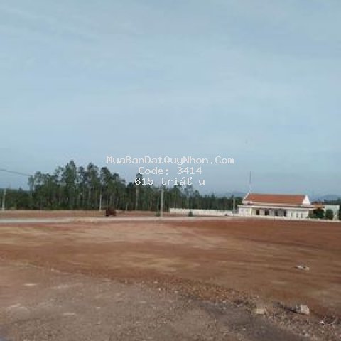 Chính chủ bán 167m2 đất tdc nhơn mỹ, tx an nhơn,