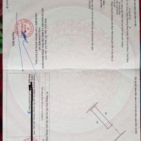 Chính chủ bán đất cần vương an nhơn bình định 1,62