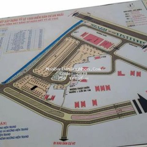 Chính chủ bán đất thị xã an nhơn 100m²