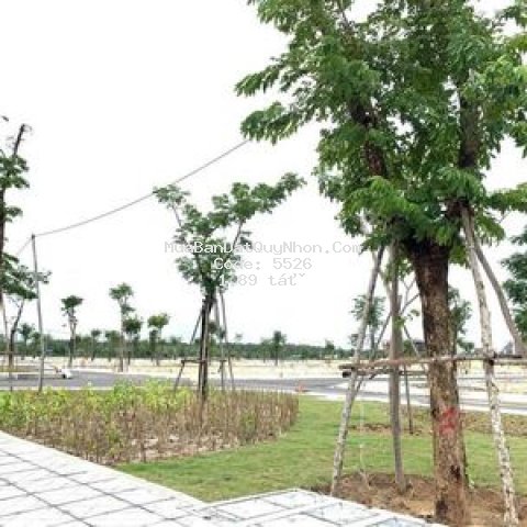 Chính chủ bán lô đất ven biển sổ đỏ lâu dài .
