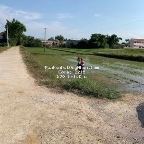 Chính chủ cần bán đất kdc phước quang, tuy phước