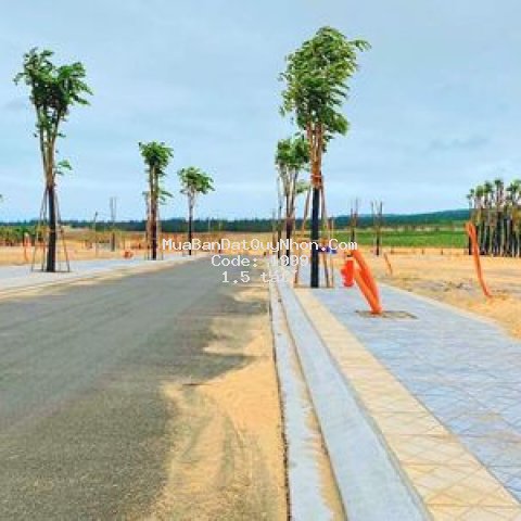 Chính chủ cần bán đất nền khu kt nhơn hội