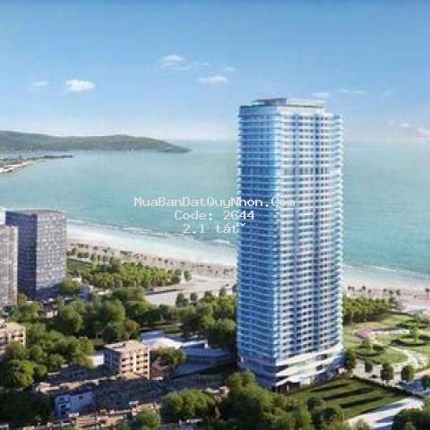 Chính chủ cần bán gấp căn hộ tms view biển quynhon Chính chủ cần bán gấp căn hộ tms view biển quynhon