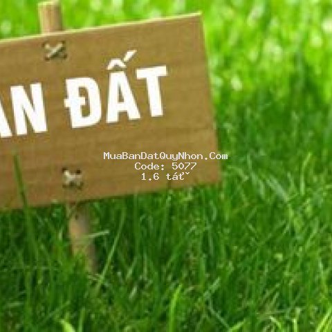 Chính chủ cần bán gấp lô đất hẻm nguyễn thái học