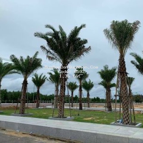 Chủ bán cắt lỗ đất biển nhơn hội, quy nhơn