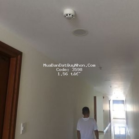 Chung cư cận cao cấp thịnh phát tower quy nhơn Chung cư cận cao cấp thịnh phát tower quy nhơn