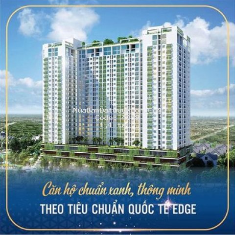 Chung cư căn hộ  thương mại ecolife riverside