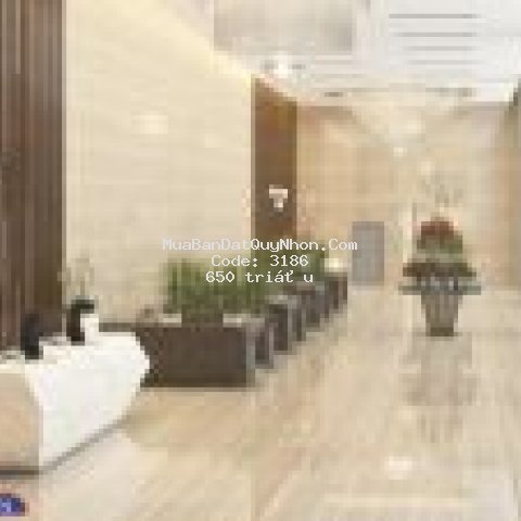 Chung cư cao cấp phú tài residence view biển