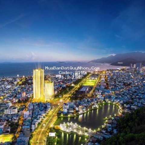 Chung cư grand center quy nhơn 50m² 1pn