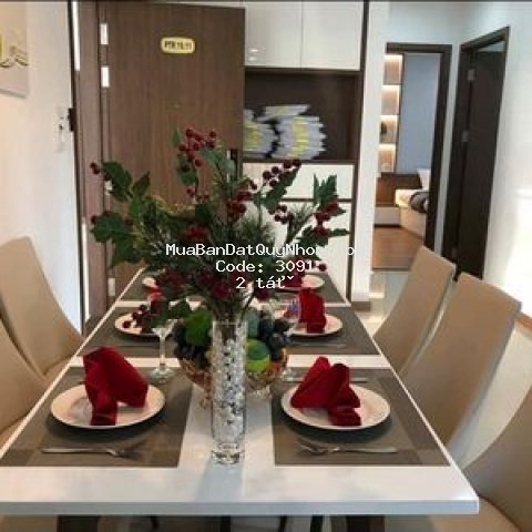 Chung cư phú tài đối diện chung cư hoàng anh g lai