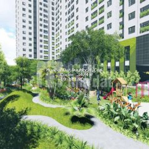 Chung cư thành phố qui nhơn 1m² 3pn