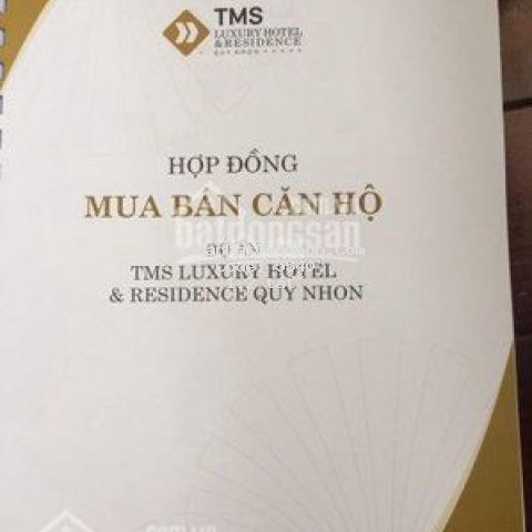 Chuyển nhượng căn 67m2 tms giá thấp nhất hiện nay Chuyển nhượng căn 67m2 tms giá thấp nhất hiện nay
