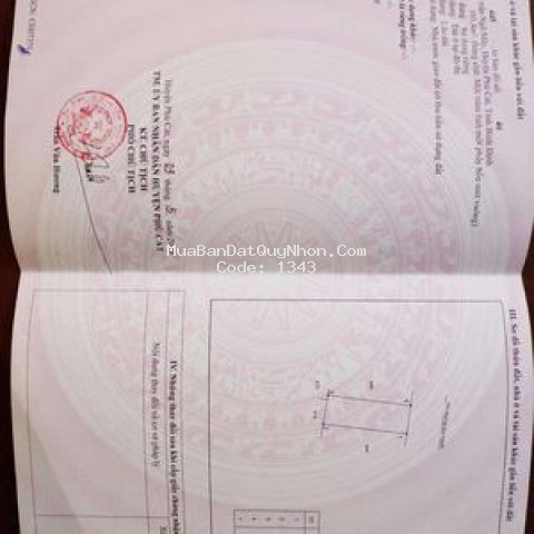 Combo  đất thị trấn ngô mây