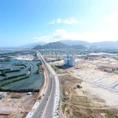 đại phú gia giá siêu tốt mùa covid