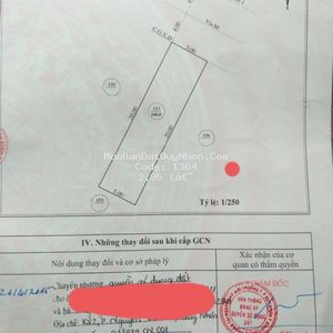 đất bán lê đại cang 100m2 (5×20) giá 2,95 tỷ.
