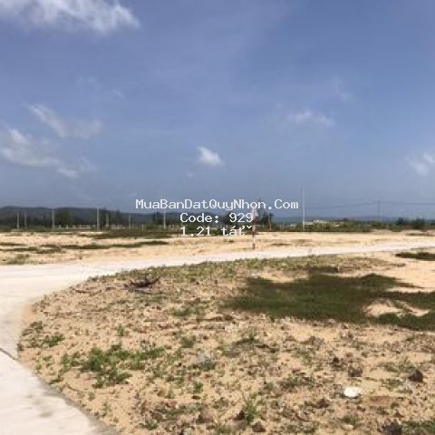 đất biển cù lao xanh giá tốt