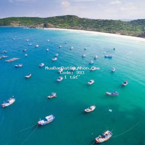 đất biển liề kề quần thể flc quy nhơn