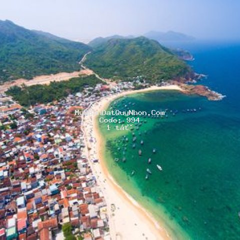 đất biển liền kề quần thể flc quy nhơn