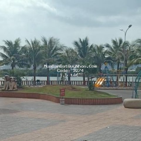 đất biển nổi bình định