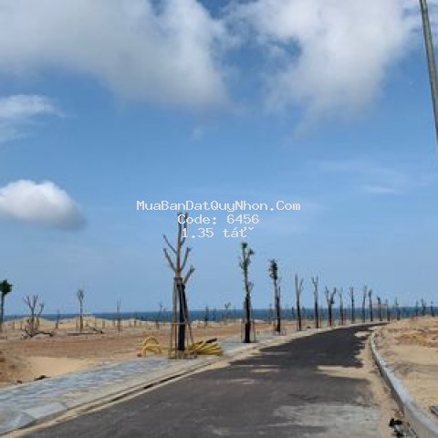 đất biển quy nhơn , đã có sổ , giá 1,35 tỷ/ nền .