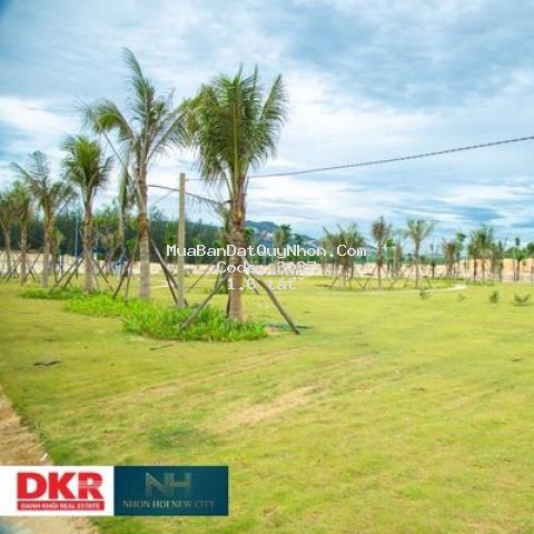 đất biển thành phố qui nhơn 80m² - 126m²