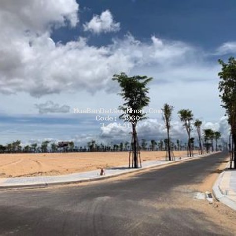 đất biệt thự sát biển flc, 126m2, cần nhượng lại