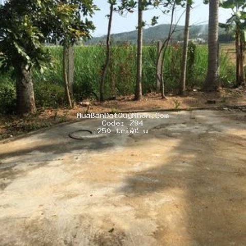 đất chính chủ cần bán