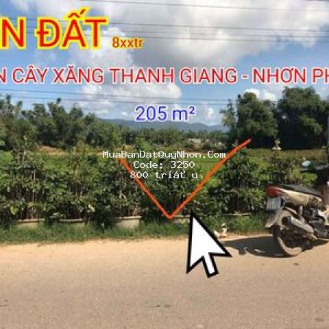 đất có sổ (5x41) nhơn phong thị xã an nhơn 205m2
