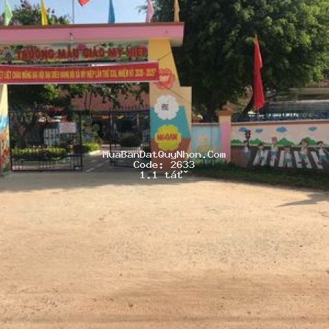 đất đã có sổ đỏ